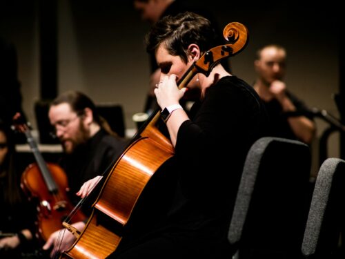 person playing stringed instrument