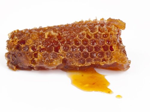 honeycomb, honey, bee