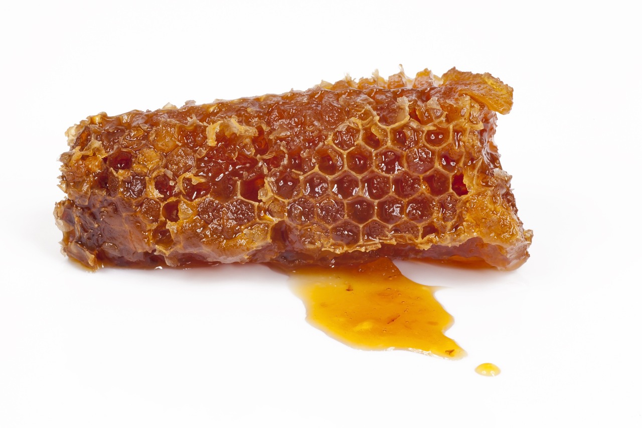 honeycomb, honey, bee