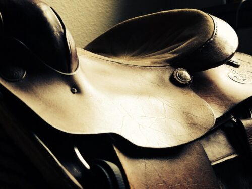 saddle, western, horse