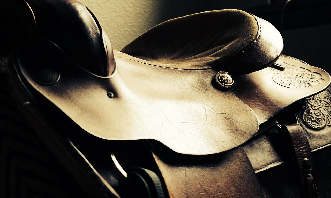 saddle, western, horse