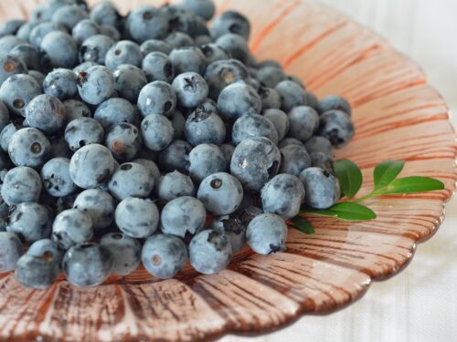 blueberries, bilberry, berries