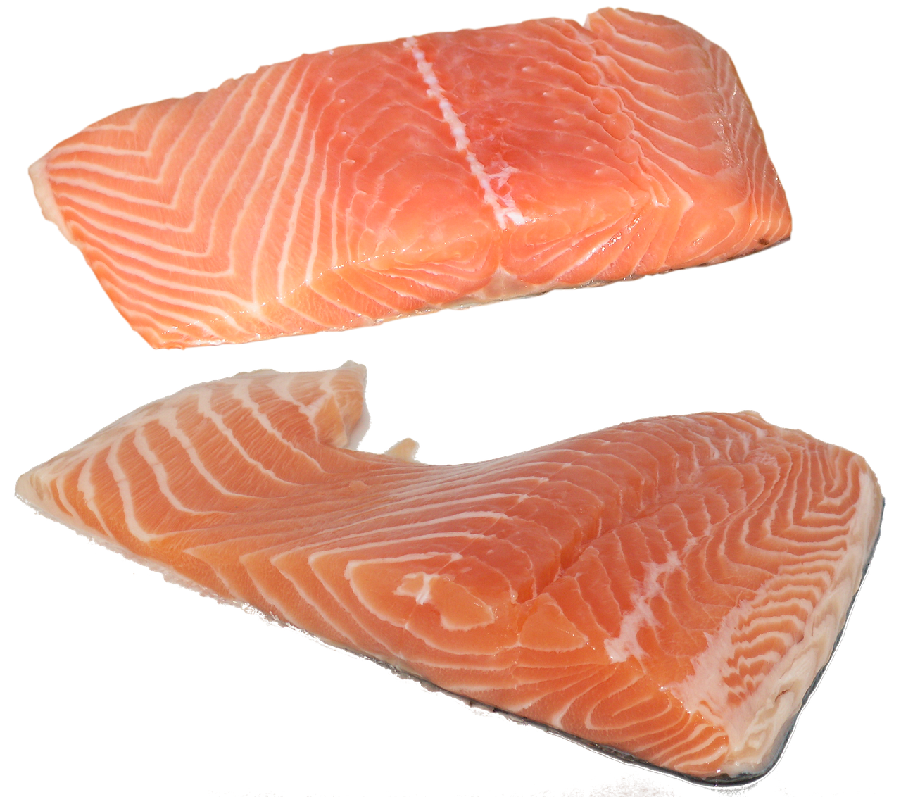 fish, salmon, fillet, omega-3, omega-6, vitamins, food, health, salmon, nature, salmon, salmon, salmon, salmon