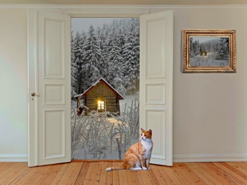 room, space, door, room door, hinged door, outlook, wall, living room, domestic cat, cat floor, wooden floor, open door, winter, snow landscape, nature, picture frame, composing, surreal, fantasy, wooden hut, hut, romantic, forest, winter dream, winter landscape, comfortable, home, entrance, exit, inner space, architecture, door, door, door, door, door, living room, living room, wooden floor, open door, open door, open door, open door, picture frame