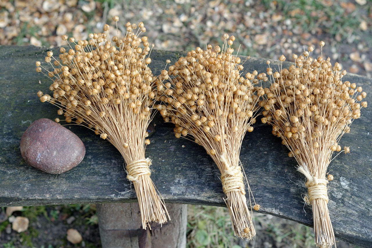 nature, flax, bouquet