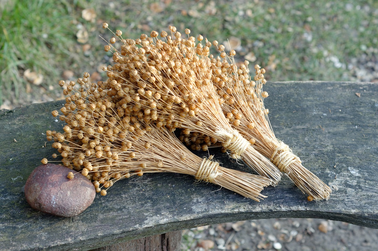 nature, flax, bouquet