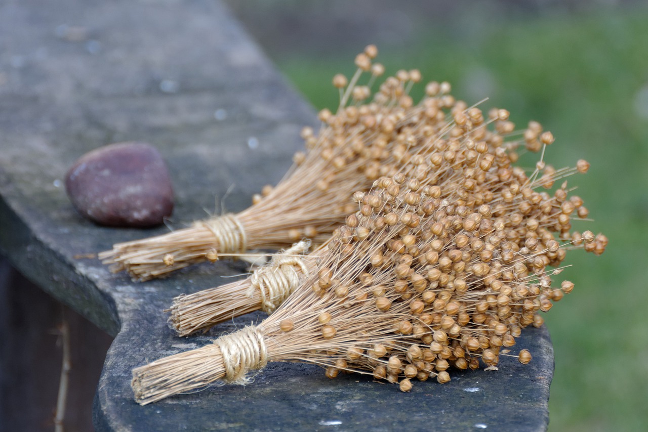 flax, linen, bouquet