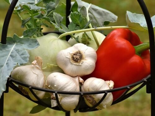 vegetables, paprika, garlic, healthy, food, vitamins, vegetable plant, fresh, yummy, vegetables, garlic, garlic, garlic, garlic, garlic