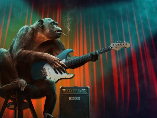 monkey, music, concert, guitar, stage, amplifier, electric guitar, animal, mammal, primate, chimpanzee, monkey, monkey, nature, music, music, music, music, music, guitar