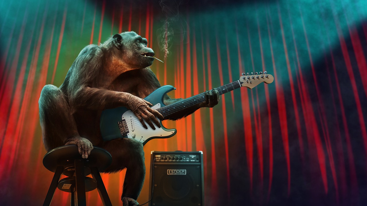 monkey, music, concert, guitar, stage, amplifier, electric guitar, animal, mammal, primate, chimpanzee, monkey, monkey, nature, music, music, music, music, music, guitar