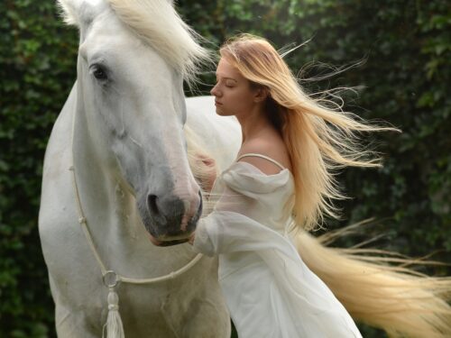 woman, horse, magical, daydream, lady, female, portrait, girl, beauty, animal, nature, mammal, woman, horse, horse, horse, horse, horse, girl, girl, girl