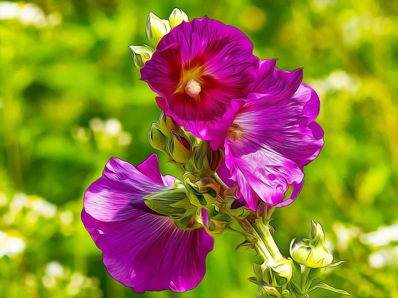 purple, flowers, malva alcea, painting, effects, violet, nature, plants, arrangement, petals