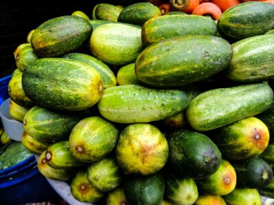 green and yellow cucumber lot