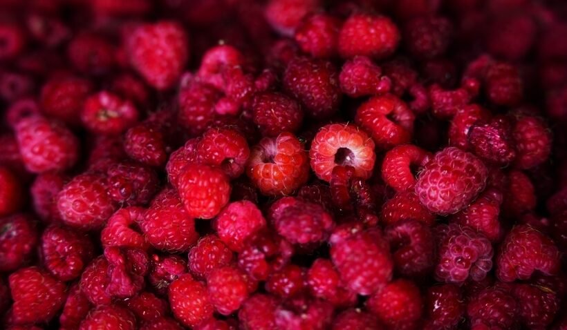 Avietės: produkto nauda ir žala, maistinė vertė, kaip išsirinkti ir kaip laikyti %d0%b7%d0%b0%d0%b3%d0%be%d1%82%d0%be%d0%b2%d0%ba%d0%b0-%d1%8f%d0%b3%d0%be%d0%b4