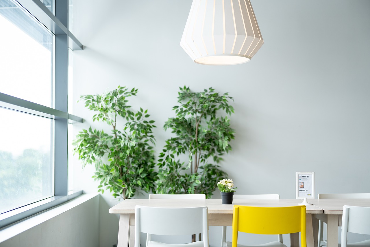 ikea, table, dining, chair, lamp, plant, natural, lifestyle, nature, life, live, living, room, restaurant, simple, white, room, room, room, room, room, restaurant, simple