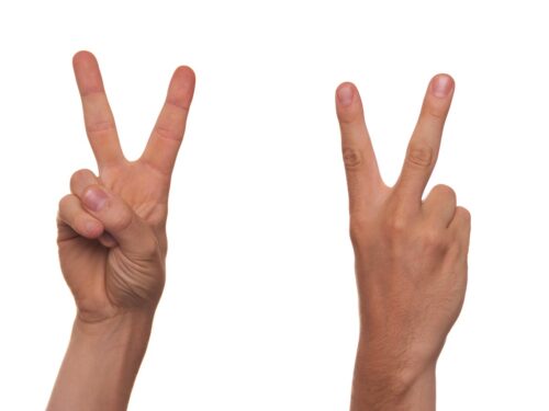 gesture, sign language, finger, v, symbol, man, human, two, couple, peace, to show, arm, arms, vanquish, victory, win, to win, second, number of, number, amount of, signal, to indicate, sign language, finger, two, two, two, two, two, victory, second, second, number, number, number