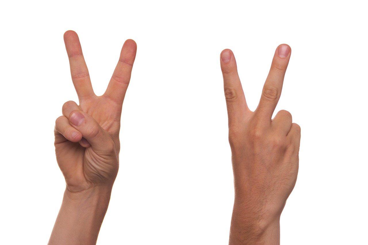 gesture, sign language, finger, v, symbol, man, human, two, couple, peace, to show, arm, arms, vanquish, victory, win, to win, second, number of, number, amount of, signal, to indicate, sign language, finger, two, two, two, two, two, victory, second, second, number, number, number