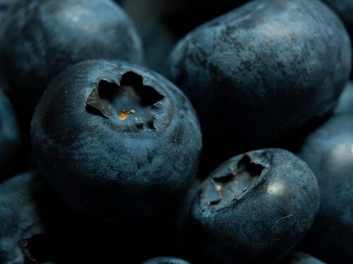 blueberries, bilberry, macro