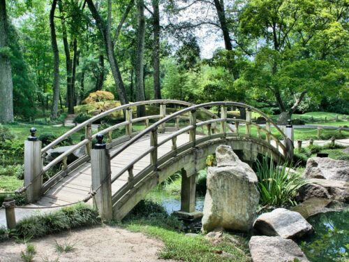 bridge, park, garden, japanese garden, path, walkway, scenery, nature, bridge, park, garden, garden, garden, nature, nature, nature, nature, nature