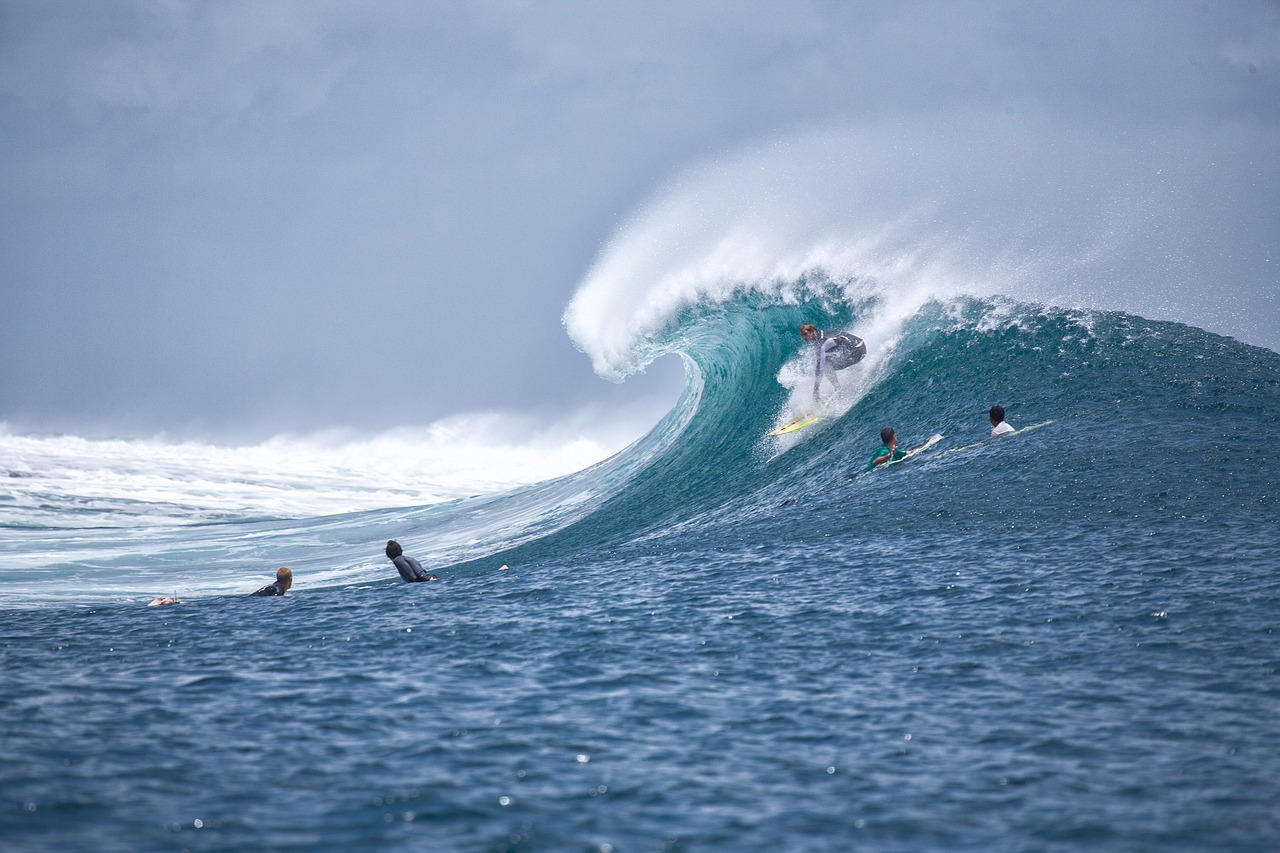 surf, surfing, big wave