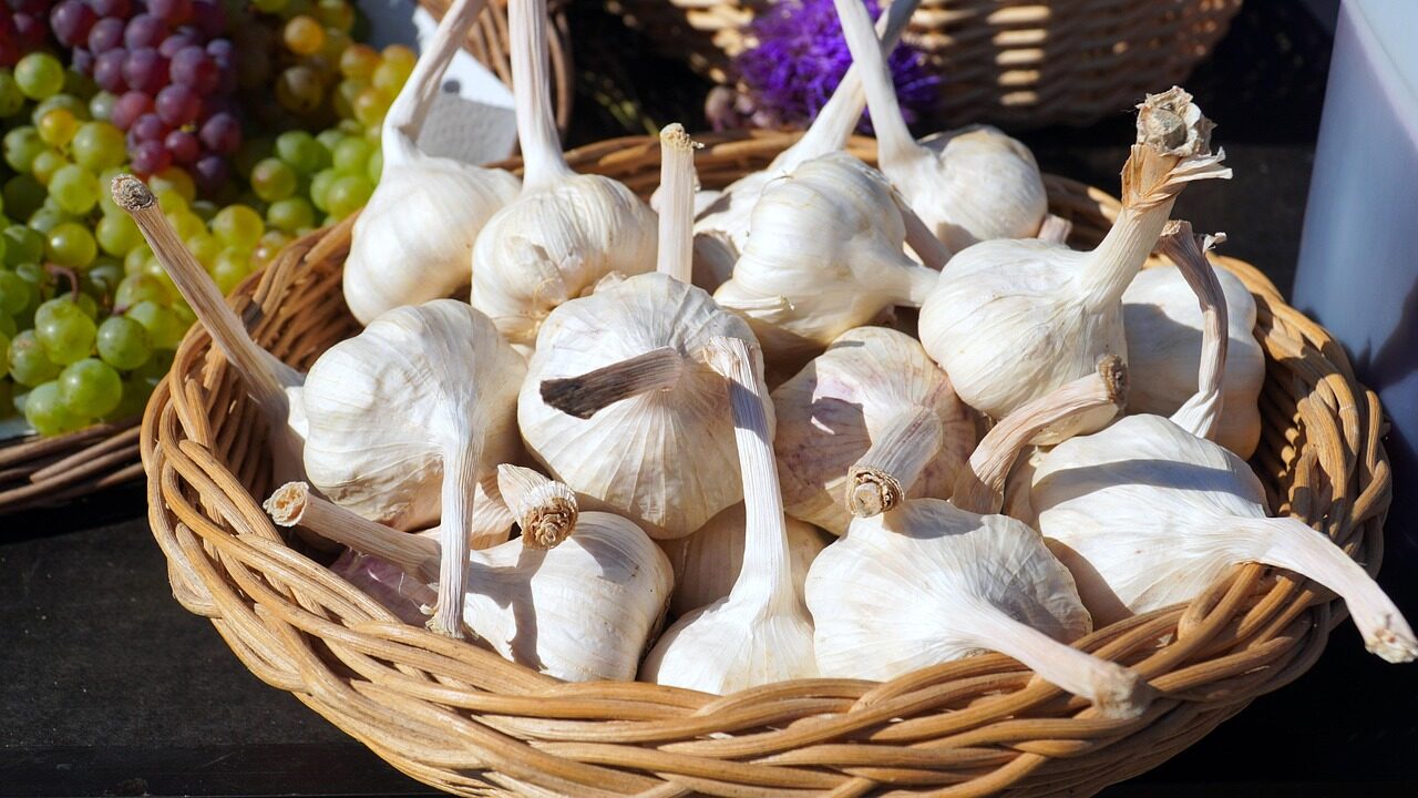 garlic, basket, basket of garlic, harvest, produce, organic, vegetables, food, eat, healthy, fresh, garlic, garlic, garlic, garlic, garlic