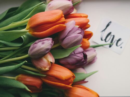 purple and orange tulips on white surface