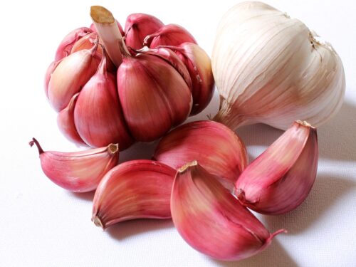 garlic, red garlic, head of garlic