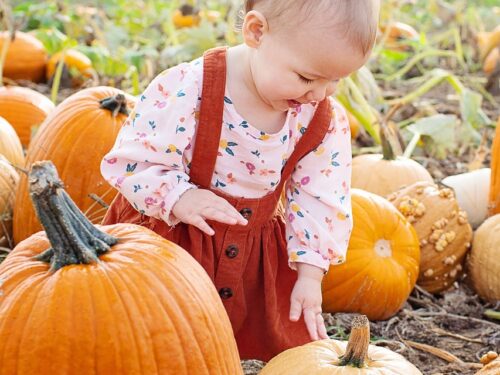 baby, pumpkin patch, pumpkin picking