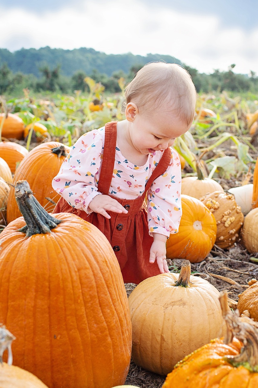 baby, pumpkin patch, pumpkin picking