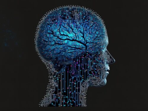 cyber brain, computer, brain, the internet, web3, blockchain, cyborg, futuristic, office, man, cyberpunk, brain, brain, brain, brain, brain