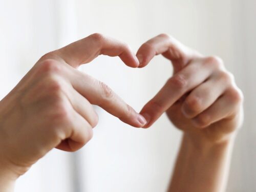 hands, heart, finger, symbol, love, love, love, love, love, love