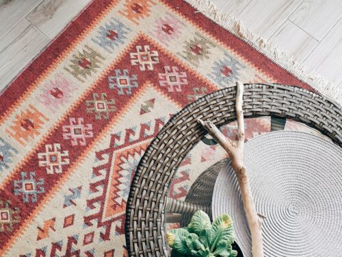 green plant on red and white area rug