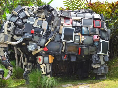 elephant, creative, television, modern art, exposition, garden, television, television, television, television, nature, television