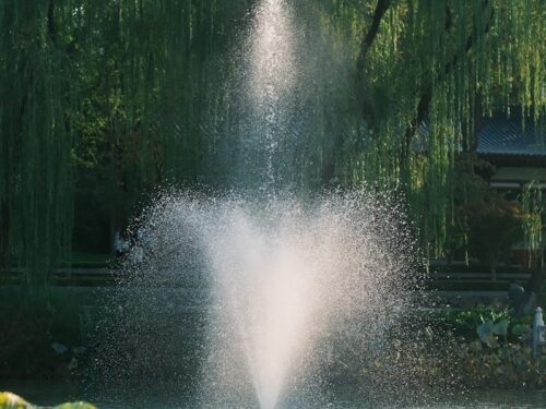 a fountain spewing water into a pond surrounded by trees