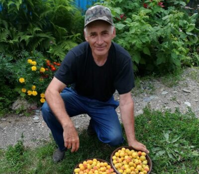 Aleksandras Kuznecovas. Straipsnių apie "natūralų ūkininkavimą" ciklą apžvalga.