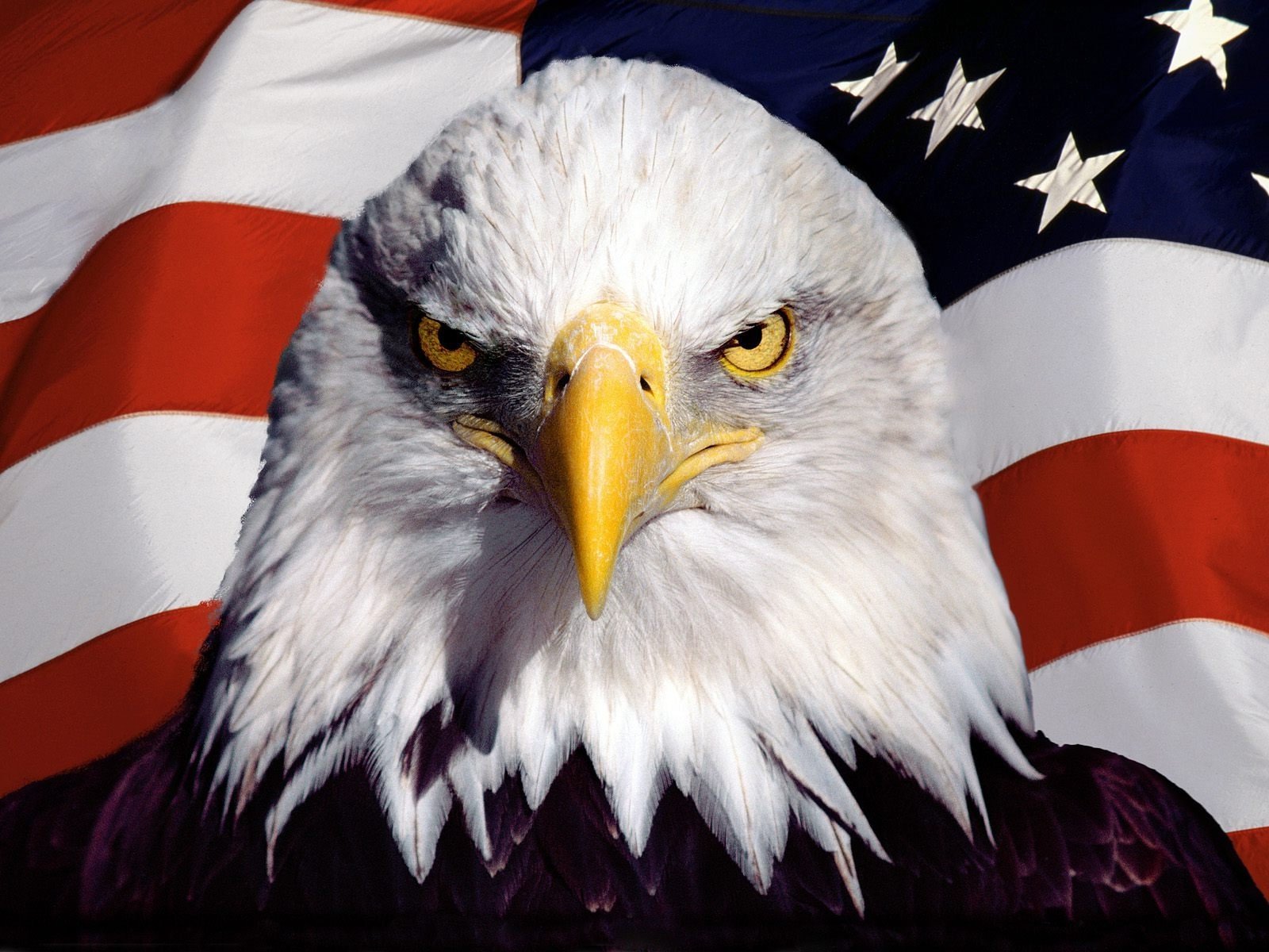 American flag with bald eagle.jpg