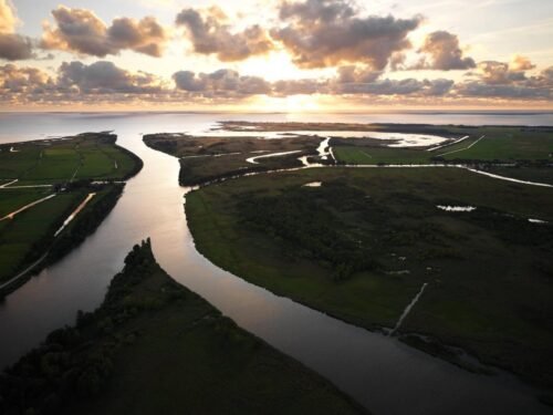 Nacionalizmas – tai šiuolaikinis humanizmas