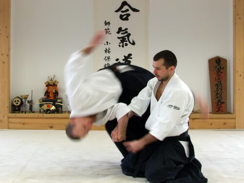 Ar Aikido geresnis už kitus kovos menus?