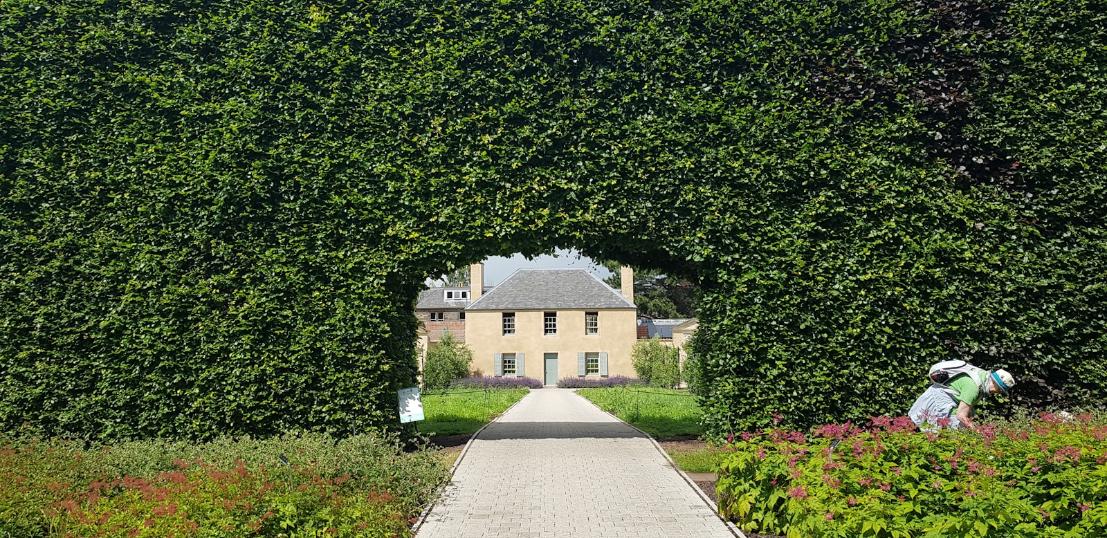 a person walking on a path surrounded by trees