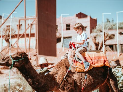 boy riding camel beside man