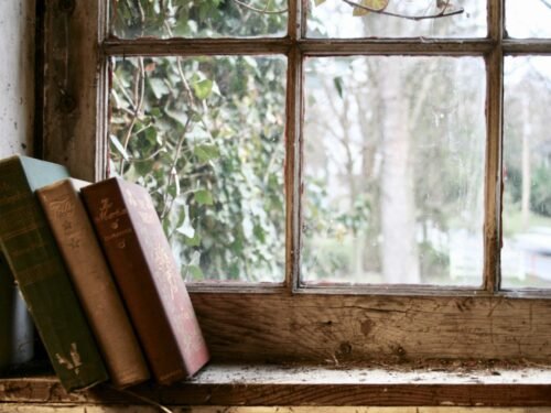 Šatrijos Ragana (1877-1930)