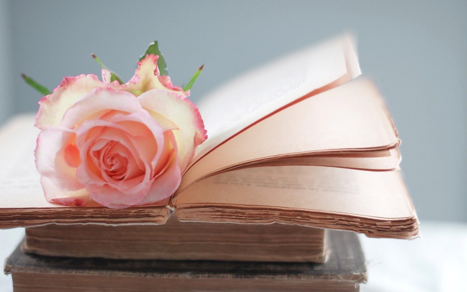 Books with rose.jpg