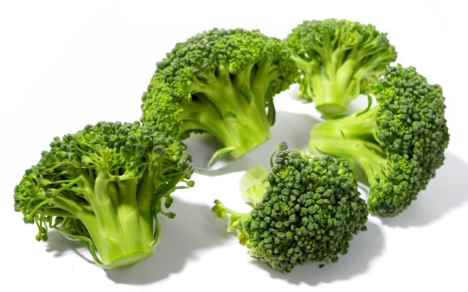 Broccoli.jpg