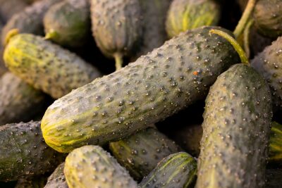 a pile of cucumbers sitting next to each other