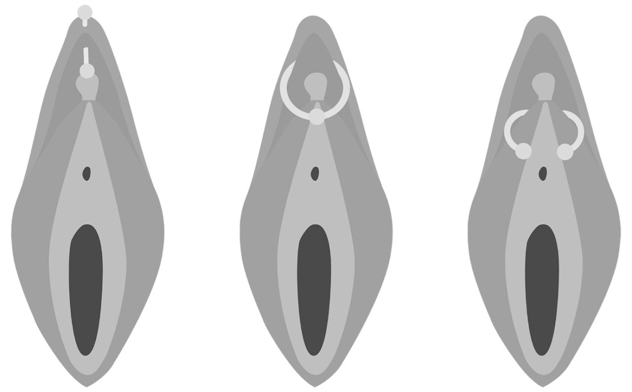 "Clitoris Clit Piercing Diagram from The Cunnilinguist" by Alex B Porter is licensed under CC BY-SA 2.0.