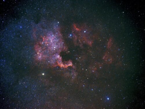 black and brown starry night