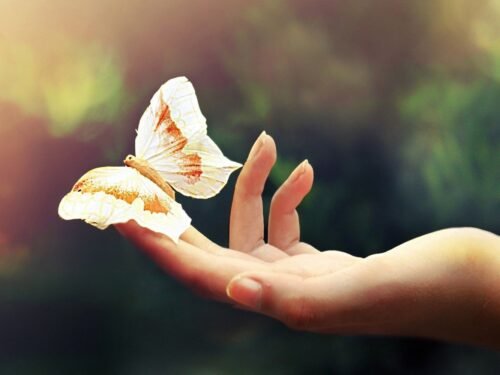 Lietuviškas Ačiū ir jo kilmė