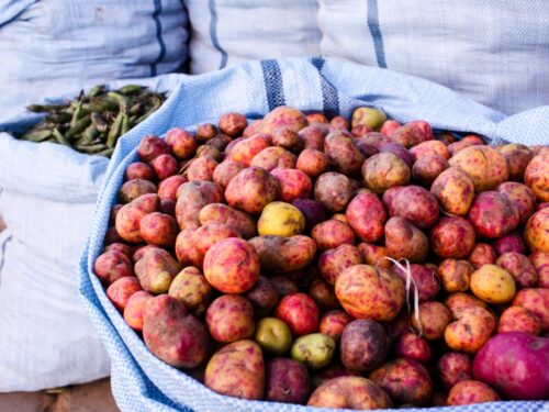 a basket of apples