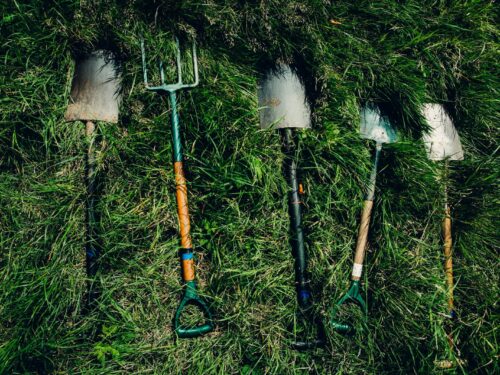 several shovels on grass