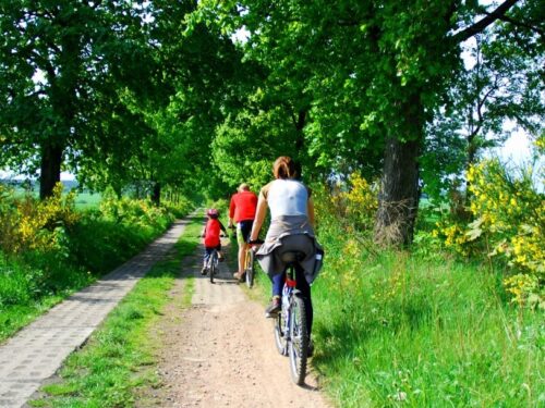 Miškinga Sartų regioninio parko trasa